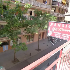 El Ciervo Gasthuis